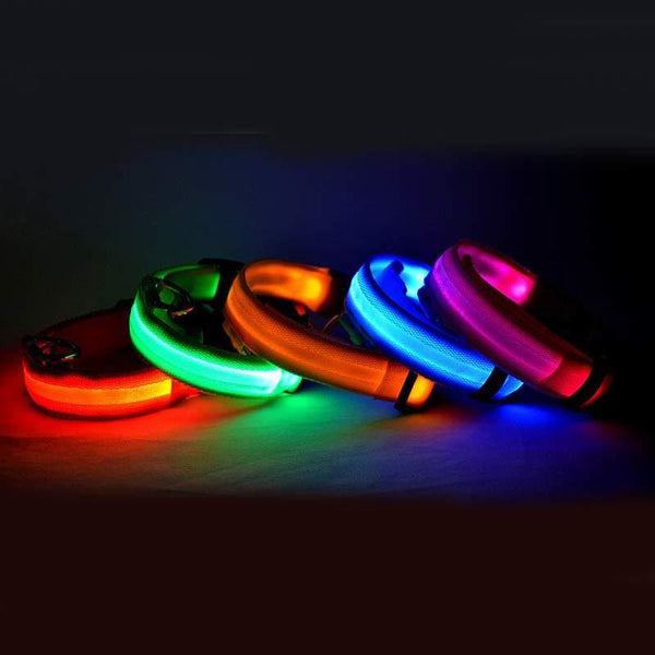 Dog Luminous Collar