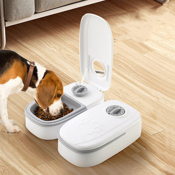 Smart Automatic Pet Food Dispenser